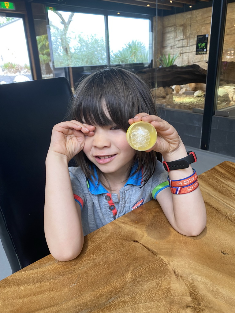 Max playing with a toy at the lower floor of the Reptielenhuis De Aarde zoo