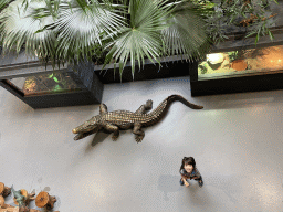 Max at the lower floor of the Reptielenhuis De Aarde zoo, viewed from the upper floor