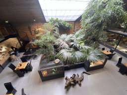 Max sitting on a Crocodile statue at the lower floor of the Reptielenhuis De Aarde zoo, viewed from the upper floor