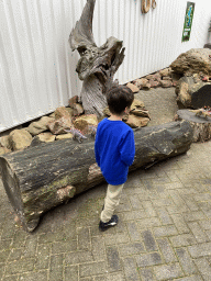 Max with dinosaur toys at the entrance of the Reptielenhuis De Aarde zoo at the Aardenhoek street