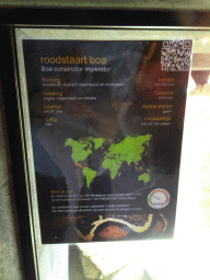 Explanation on the Boa Imperator at the lower floor of the Reptielenhuis De Aarde zoo