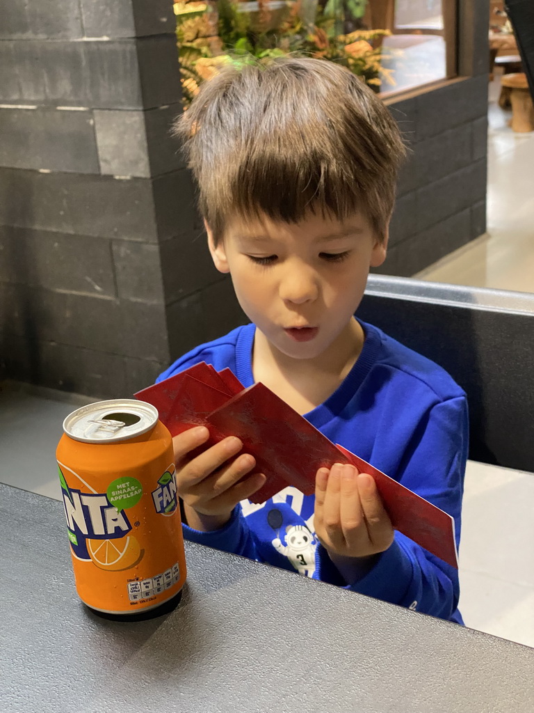 Max with a drink and Pokémon cards at the lower floor of the Reptielenhuis De Aarde zoo