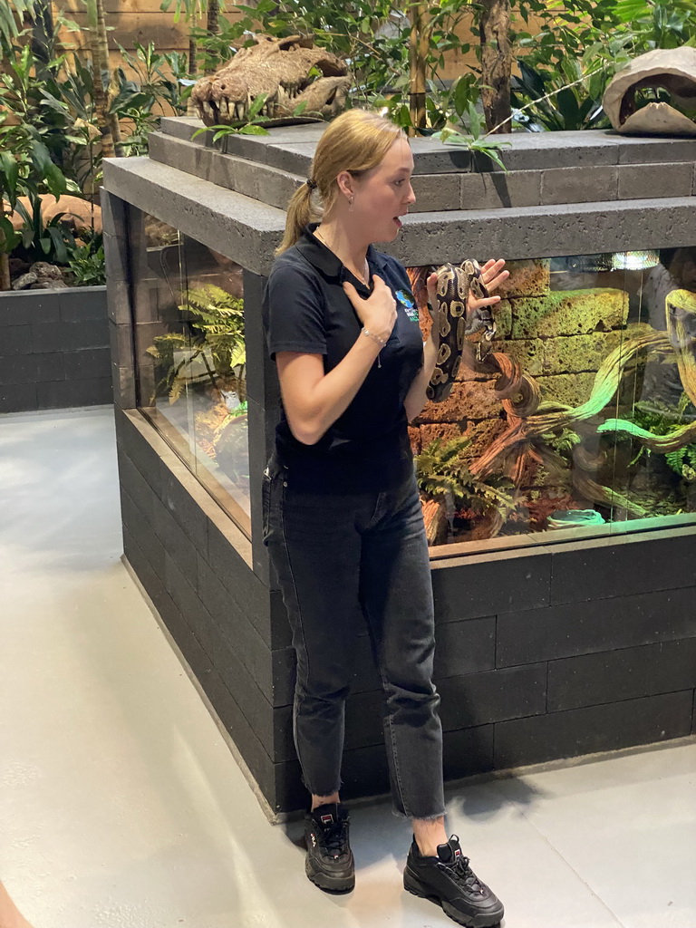 Zookeeper with a Ball Python at the lower floor of the Reptielenhuis De Aarde zoo