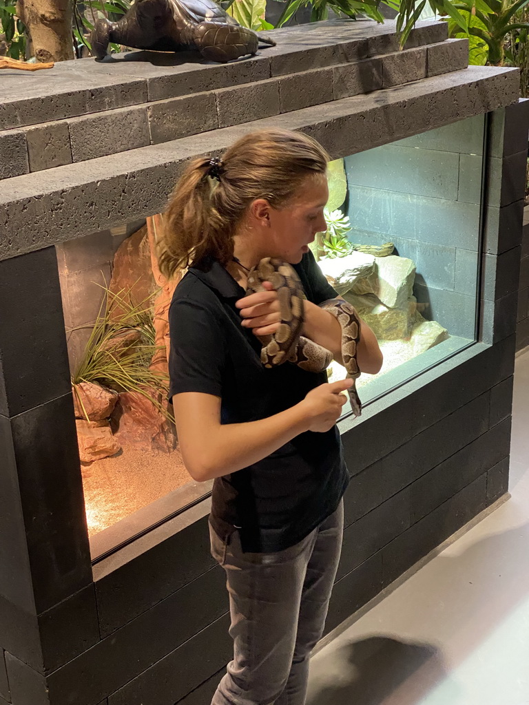 Zookeeper with a Ball Python at the lower floor of the Reptielenhuis De Aarde zoo