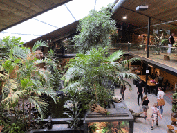 Interior of the Reptielenhuis De Aarde zoo, viewed from the upper floor