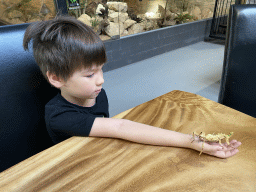 Max with an Australian Walking Stick at the lower floor of the Reptielenhuis De Aarde zoo