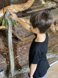 Max with a Reticulated Python at the upper floor of the Reptielenhuis De Aarde zoo