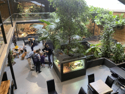 Zookeepers with Ball Pythons at the lower floor of the Reptielenhuis De Aarde zoo, viewed from the upper floor