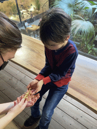 Max and a zookeeper with an Australian Walking Stick at the upper floor of the Reptielenhuis De Aarde zoo