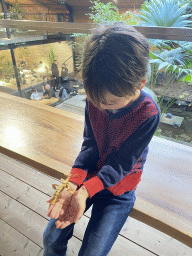 Max with an Australian Walking Stick at the upper floor of the Reptielenhuis De Aarde zoo