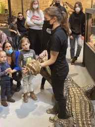 Zookeeper with a Ball Python at the lower floor of the Reptielenhuis De Aarde zoo