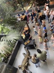 Zookeeper feeding Ball Pythons at the lower floor of the Reptielenhuis De Aarde zoo, viewed from the upper floor