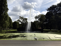 Fountain and swan in the Stadspark Valkenberg