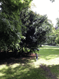 Max at a tree at the Stadspark Valkenberg