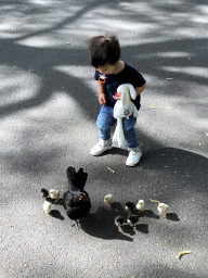 Max with chickens at the Stadspark Valkenberg