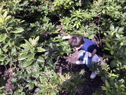 Max with chickens in the plants at the Stadspark Valkenberg