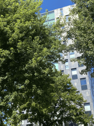 Building at the Nonnenveld square, viewed from our tour boat on the Mark river