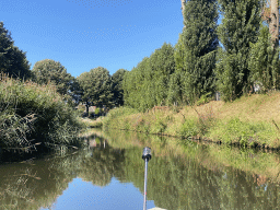 Trees along the Aa of Weerijs river, viewed from our tour boat