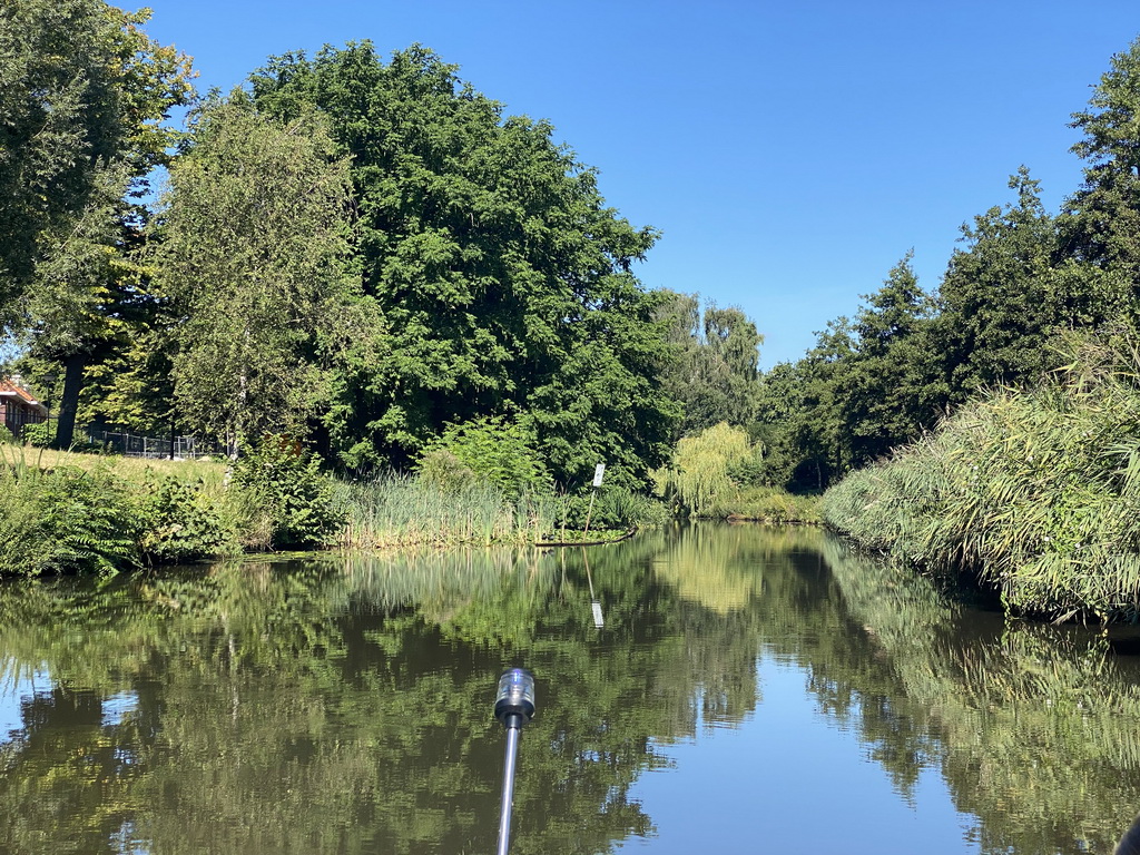 Trees along the Aa of Weerijs river, viewed from our tour boat