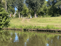 The Aa of Weerijs river and ducks at the Gasthuisvelden street, viewed from our tour boat