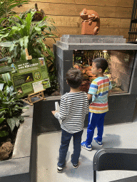 Max and his friend in front of information on large frogs and the African bullfrog at the lower floor of the Reptielenhuis De Aarde zoo, with explanation