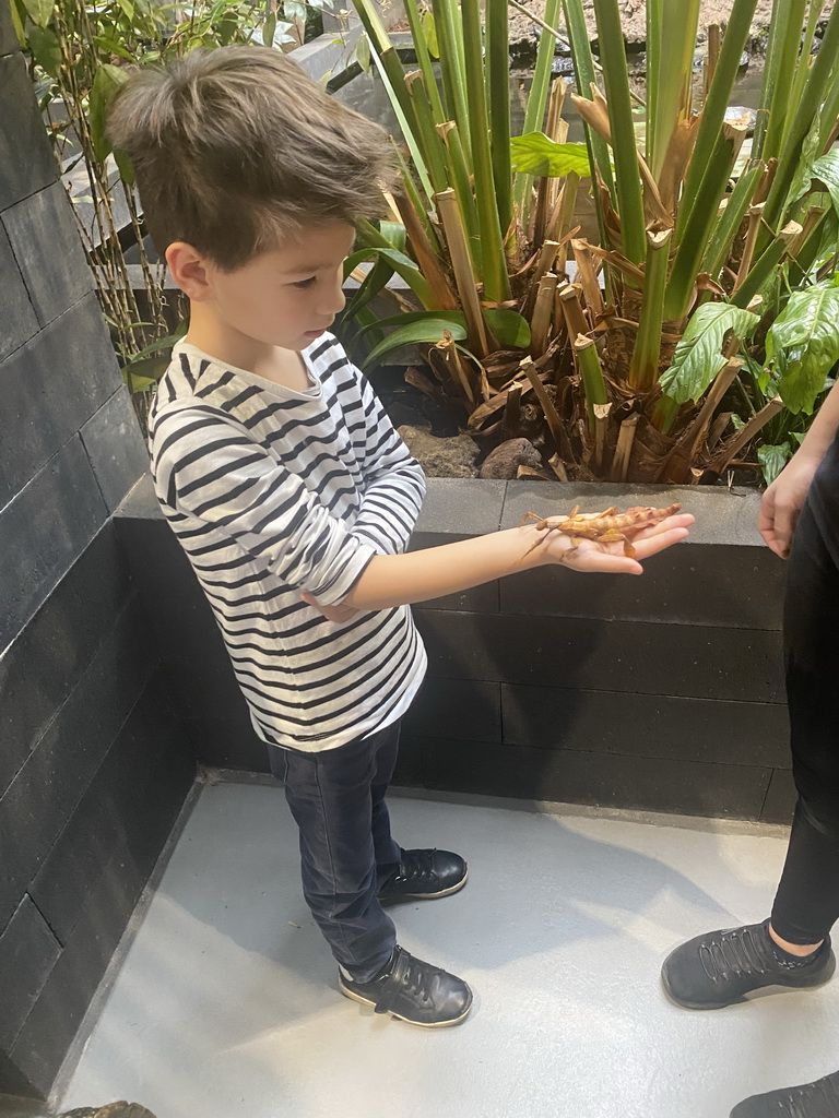 Max with an Australian Walking Stick at the lower floor of the Reptielenhuis De Aarde zoo