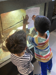 Max and his friend doing the scavenger hunt at the lower floor of the Reptielenhuis De Aarde zoo