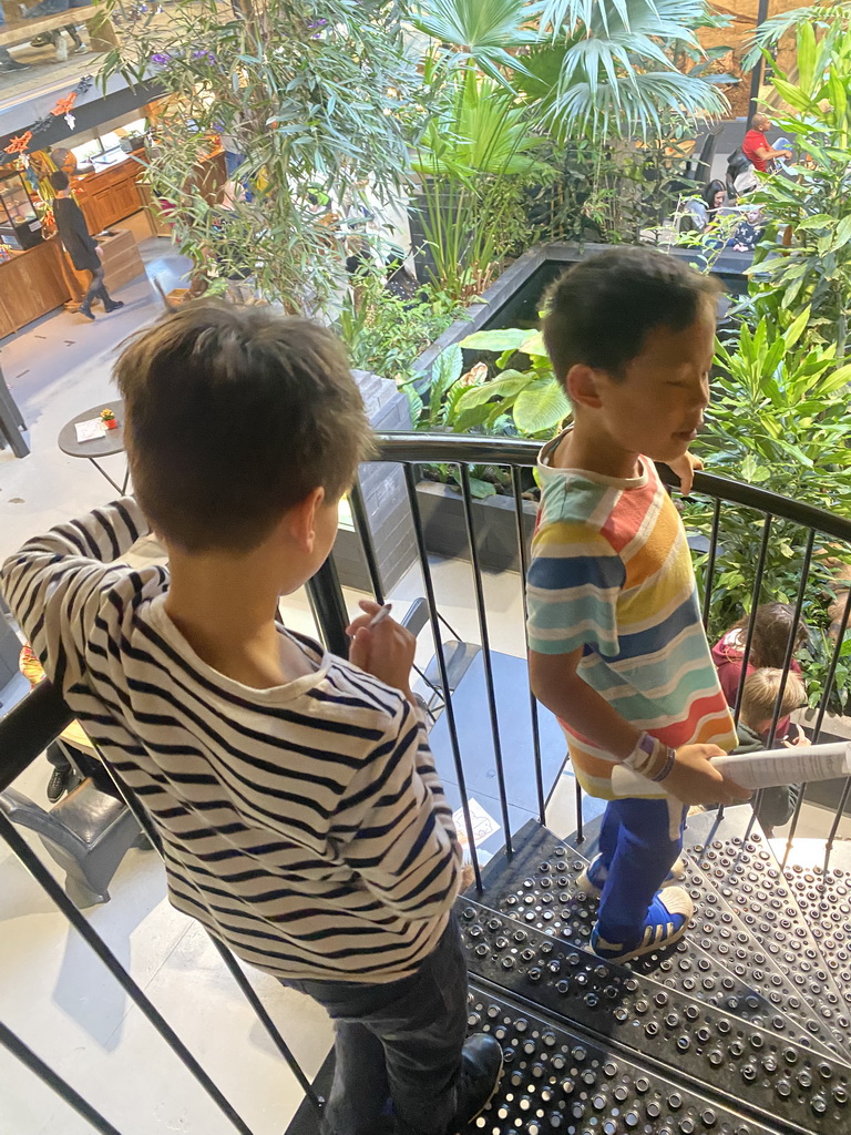 Max and his friend walking on the staircase from the upper floor to the lower floor of the Reptielenhuis De Aarde zoo