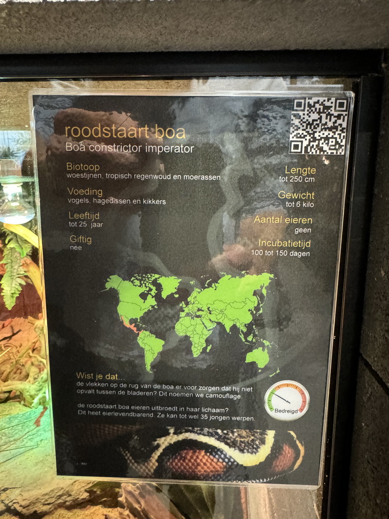 Explanation on the Boa Imperator at the lower floor of the Reptielenhuis De Aarde zoo