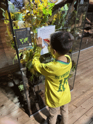 Max doing the scavenger hunt in front of the Australian Walking Stick at the upper floor of the Reptielenhuis De Aarde zoo