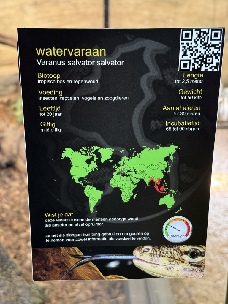 Explanation on the Asian Water Monitor at the lower floor of the Reptielenhuis De Aarde zoo