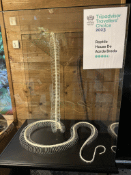Snake skeleton at the lower floor of the Reptielenhuis De Aarde zoo