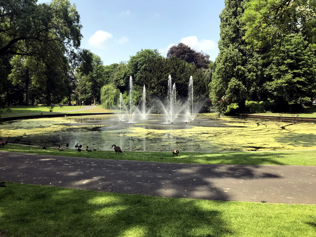 Fountain, geese and ducks at the Stadspark Valkenberg