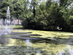 Fountain and geese at the Stadspark Valkenberg