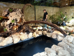 Zookeeper and Indian Python at the lower floor of the Reptielenhuis De Aarde zoo