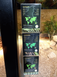 Explanation on the Central Bearded Dragon, Frilled-necked Lizard and Blue-tongued Skink at the lower floor of the Reptielenhuis De Aarde zoo