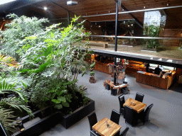 Interior of the Reptielenhuis De Aarde zoo, viewed from the upper floor