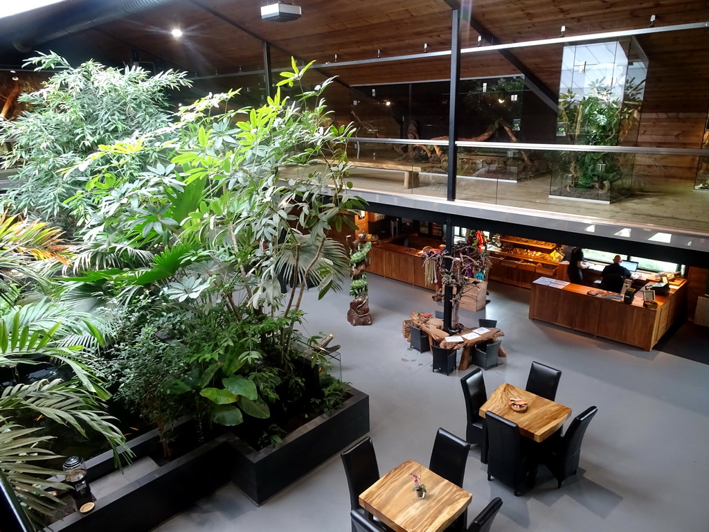 Interior of the Reptielenhuis De Aarde zoo, viewed from the upper floor