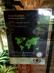 Explanation on the Plumed Basilisk at the upper floor of the Reptielenhuis De Aarde zoo