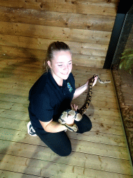 Zookeeper with a Indian Python at the upper floor of the Reptielenhuis De Aarde zoo