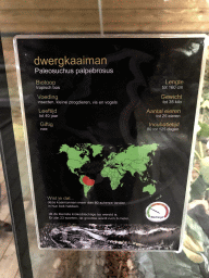 Explanation on the Cuvier`s Dwarf Caiman at the upper floor of the Reptielenhuis De Aarde zoo