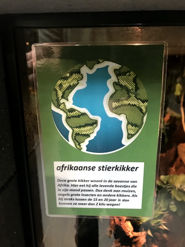 Explanation on the African Bullfrog at the lower floor of the Reptielenhuis De Aarde zoo