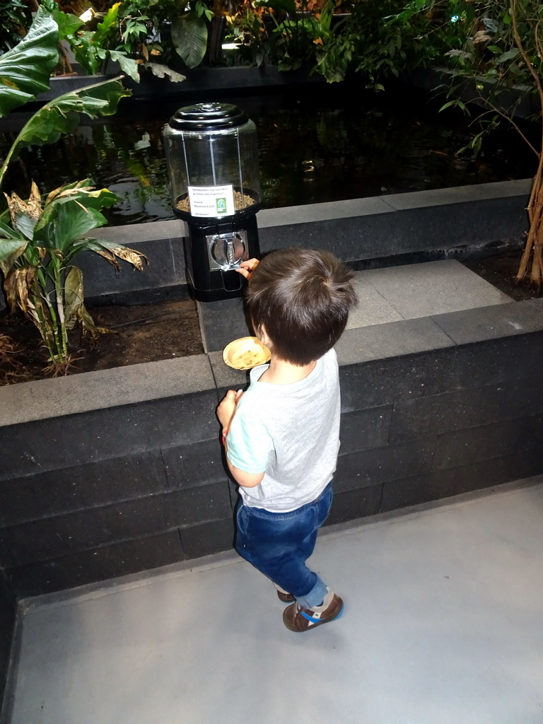 Max getting food for the Red-eared Sliders at the lower floor of the Reptielenhuis De Aarde zoo