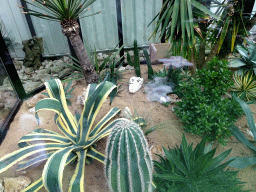 Interior of a small greenhouse in the garden of the Reptielenhuis De Aarde zoo