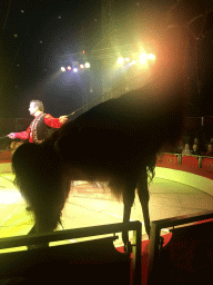 Animal trainer with a Llama at Circus Barones, during the show