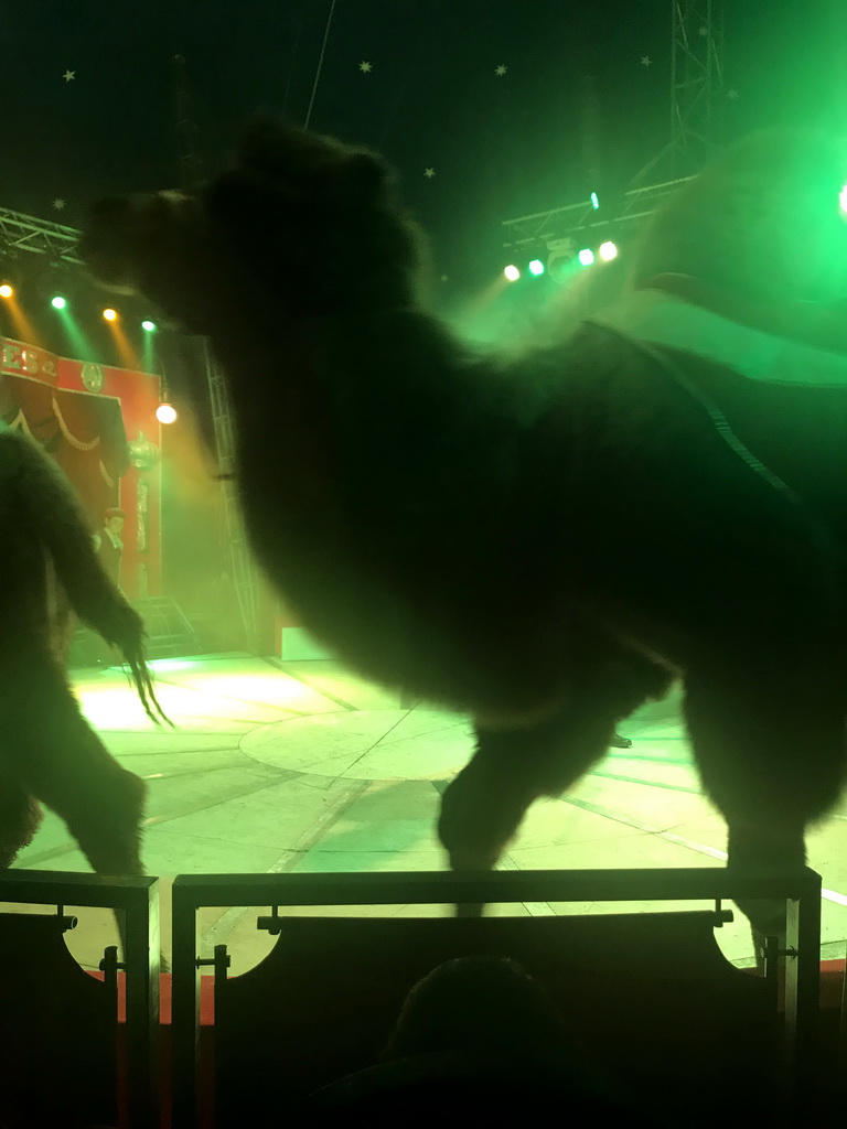 Max and Camels at Circus Barones, during the show