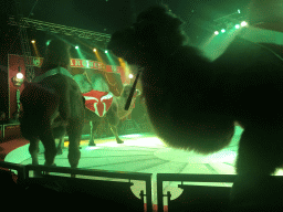 Camels at Circus Barones, during the show