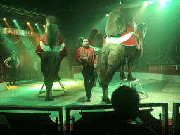 Max and an animal trainer with Camels at Circus Barones, during the show