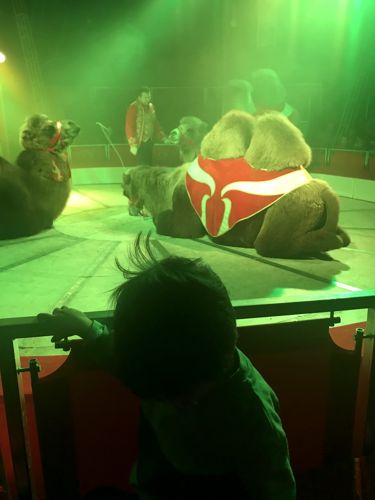 Max and an animal trainer with Camels at Circus Barones, during the show