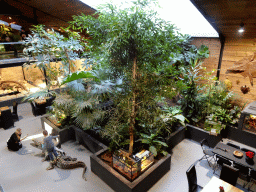 Interior of the Reptielenhuis De Aarde zoo, viewed from the upper floor